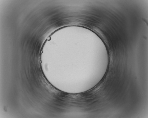 X0000102771340200809151030