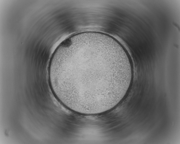 X0000102771341200809151030