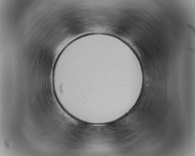 X0000102771343200809151030