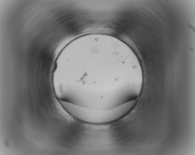 X0000102771344200809151030