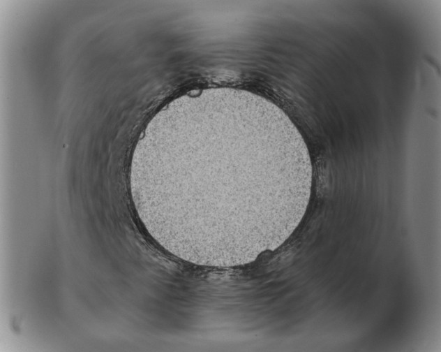 X0000102771345200809151029