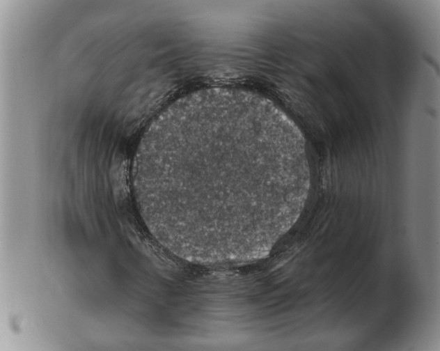 X0000102771346200809151029