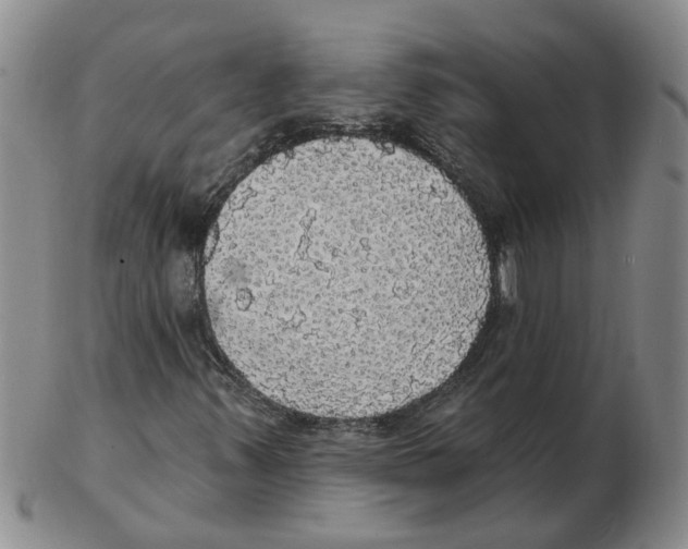 X0000102771347200809151029