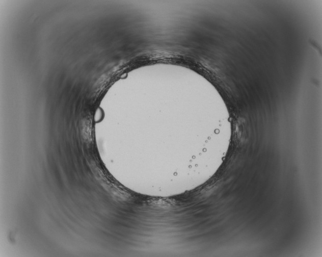 X0000102771348200809151029