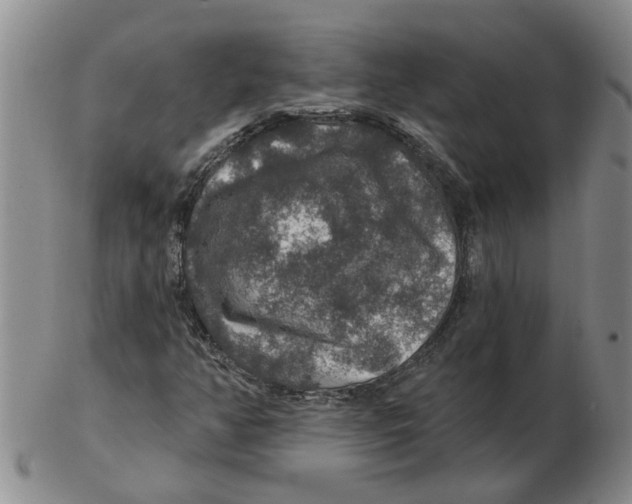 X0000102771350200809151029