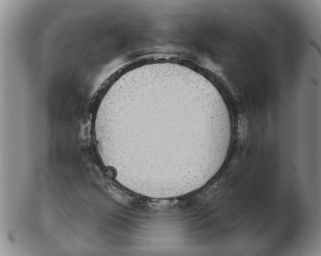 X0000102771352200809151029