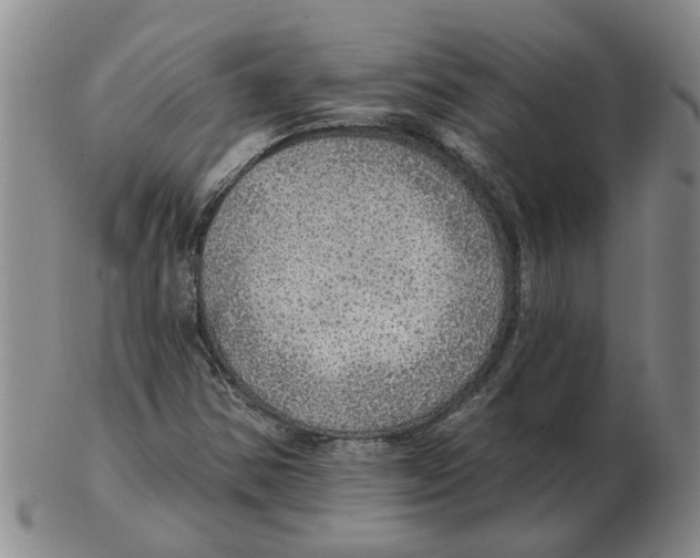 X0000102771354200809151029