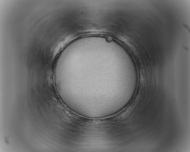 X0000102771357200809151029