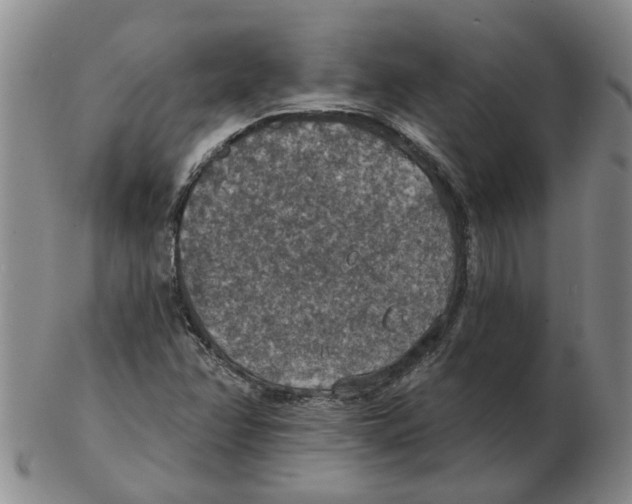 X0000102771358200809151029