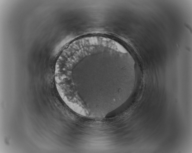 X0000102771359200809151029