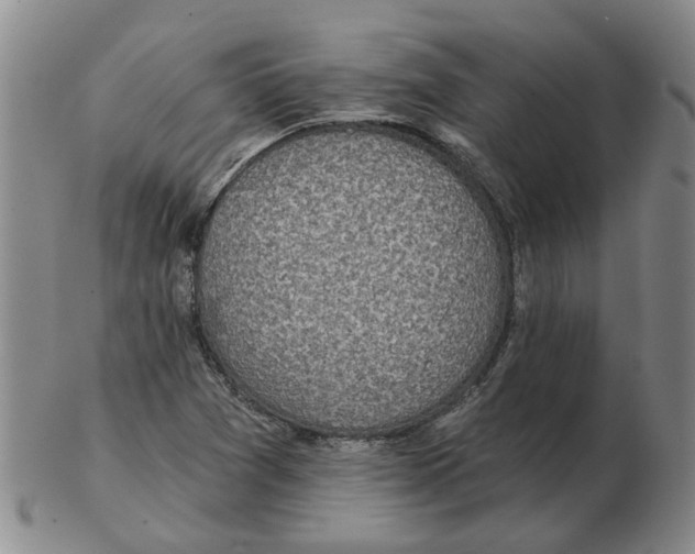 X0000102771361200809151029