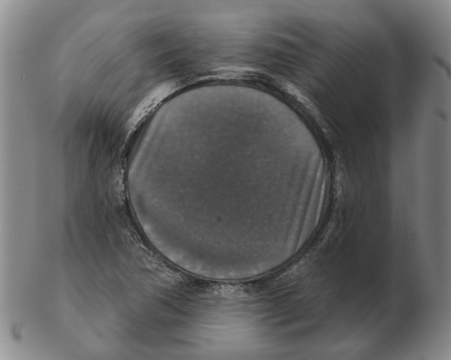 X0000102771362200809151029