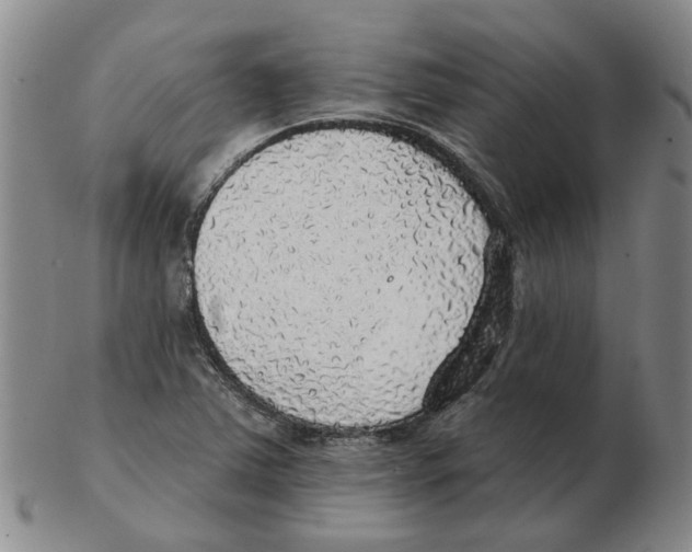 X0000102771363200809151029