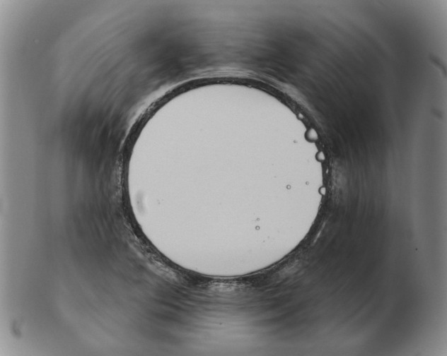 X0000102771364200809151029