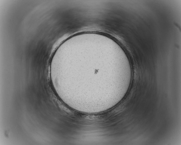 X0000102771366200809151029