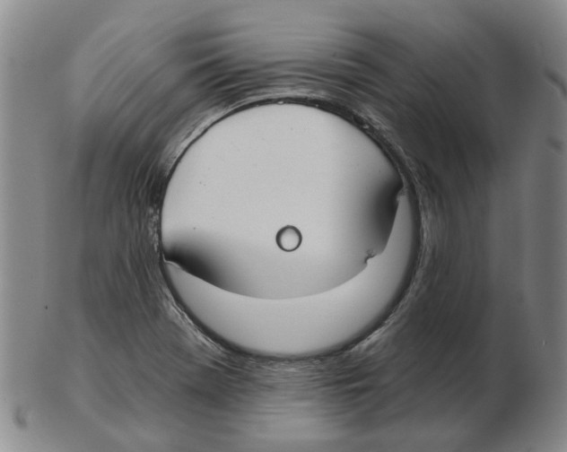 X0000102771369200809151029