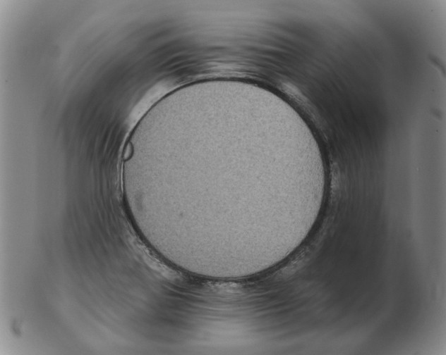 X0000102771370200809151029