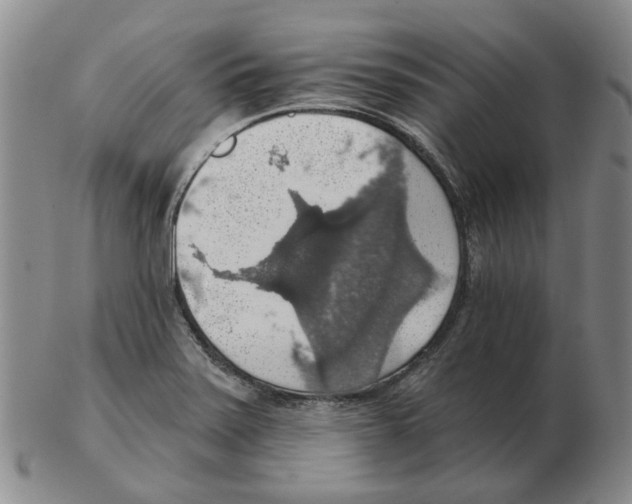 X0000102771371200809151029