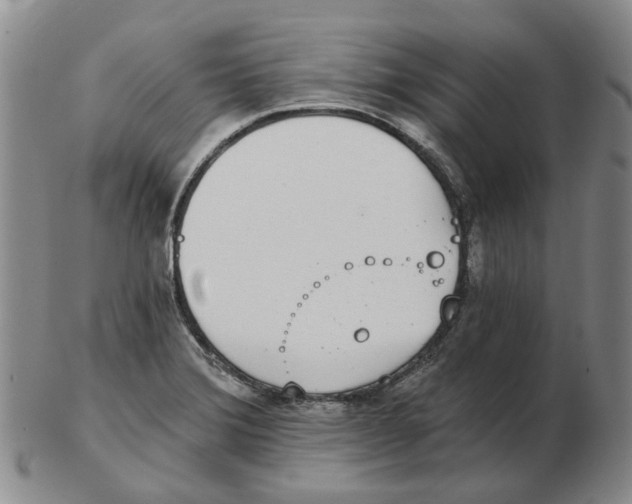 X0000102771372200809151029