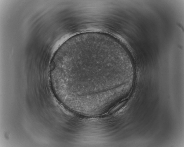 X0000102771373200809151029