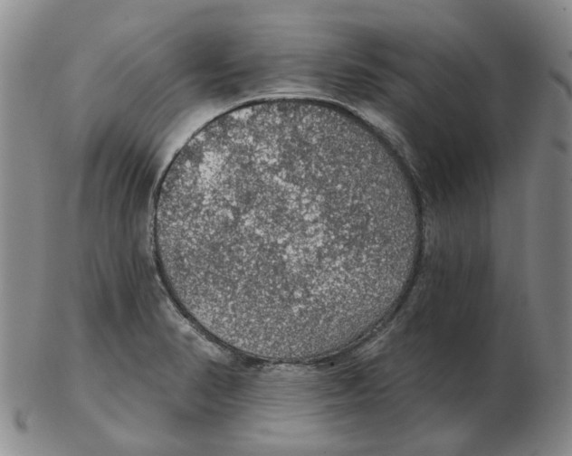 X0000102771374200809151029