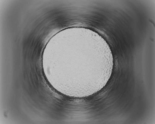 X0000102771375200809151029