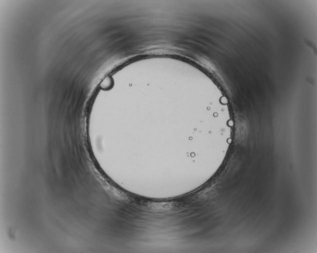 X0000102771376200809151029