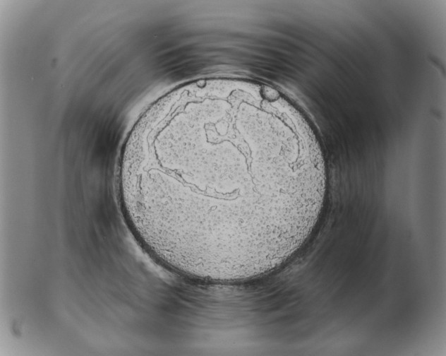 X0000102771379200809151029