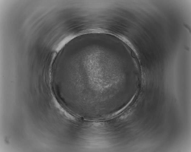 X0000102771381200809151028