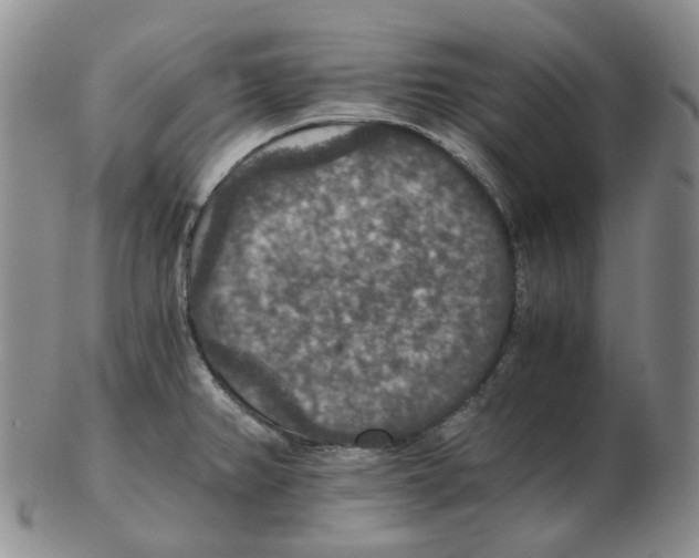 X0000102771382200809151028