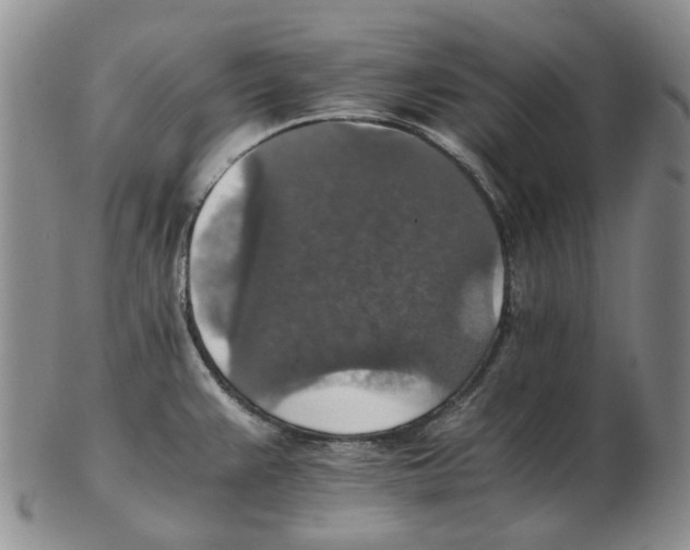 X0000102771383200809151028