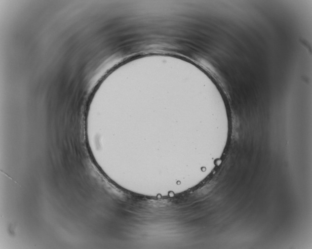 X0000102771384200809151028