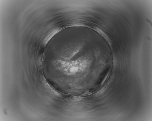 X0000102771385200809151028