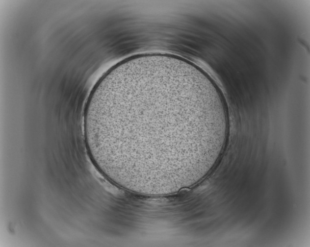 X0000102771388200809151028