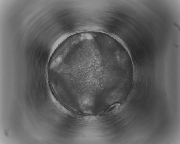 X0000102771389200809151028