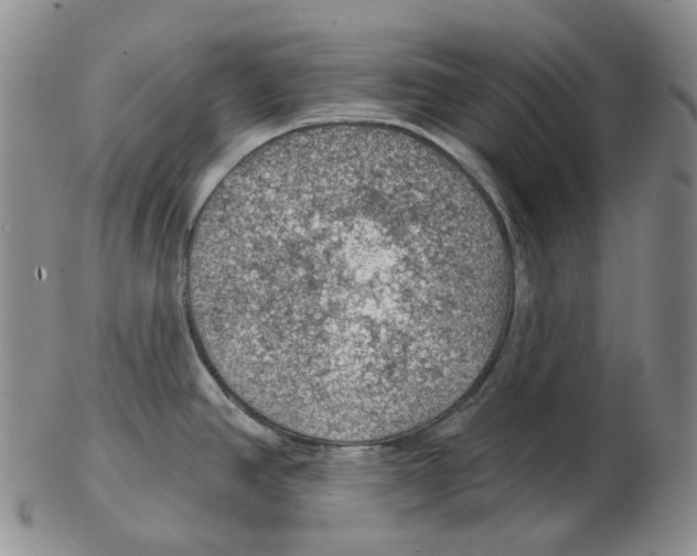 X0000102771390200809151028