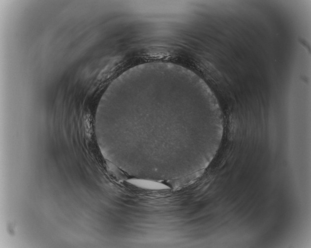 X0000102771394200809151028