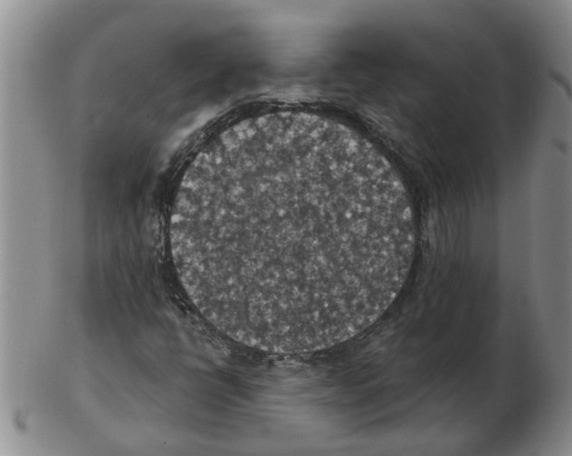 X0000102771398200809151028