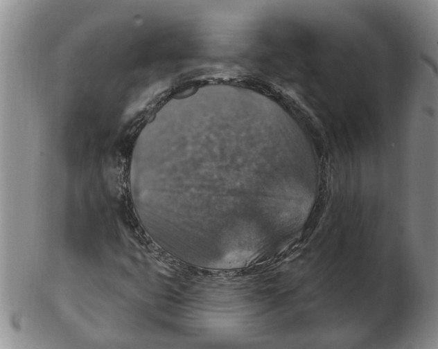 X0000102771399200809151028