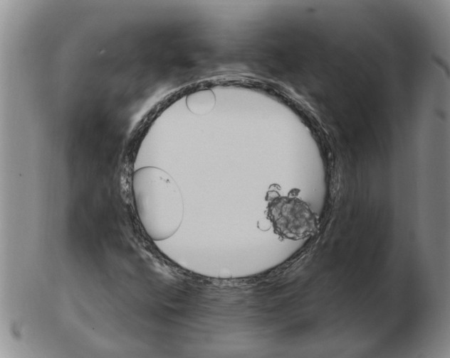 X0000102771400200809151028