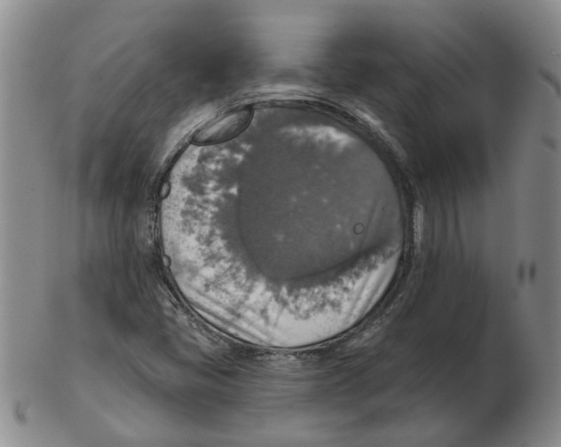 X0000102771405200809151028