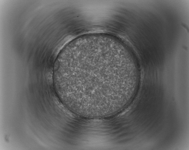 X0000102771409200809151028