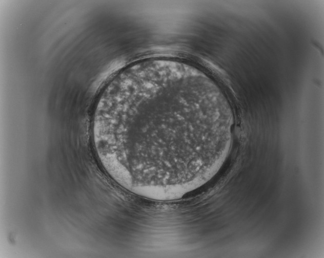 X0000102771411200809151028