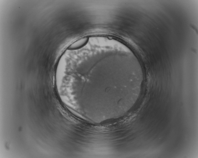 X0000102771413200809151028