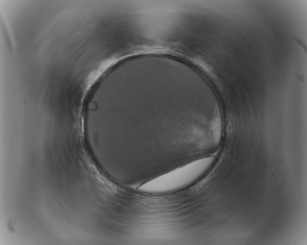 X0000102771414200809151028