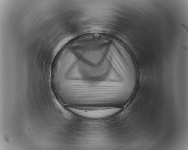 X0000102771418200809151028