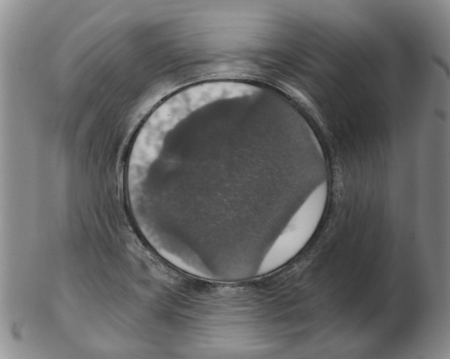 X0000102771419200809151028