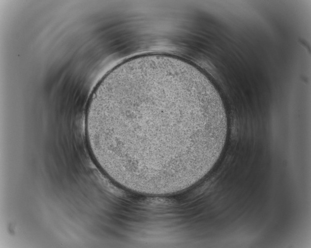 X0000102771420200809151028