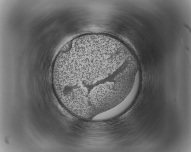 X0000102771421200809151028