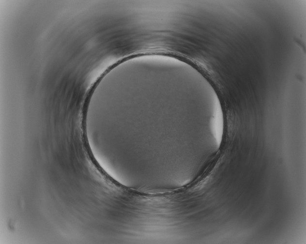 X0000102771422200809151028